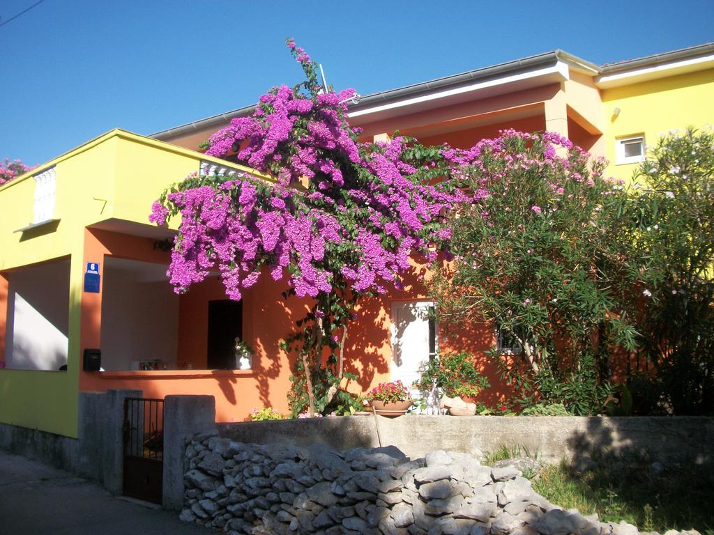 Apartments Mirjana Petrcane Buitenkant foto