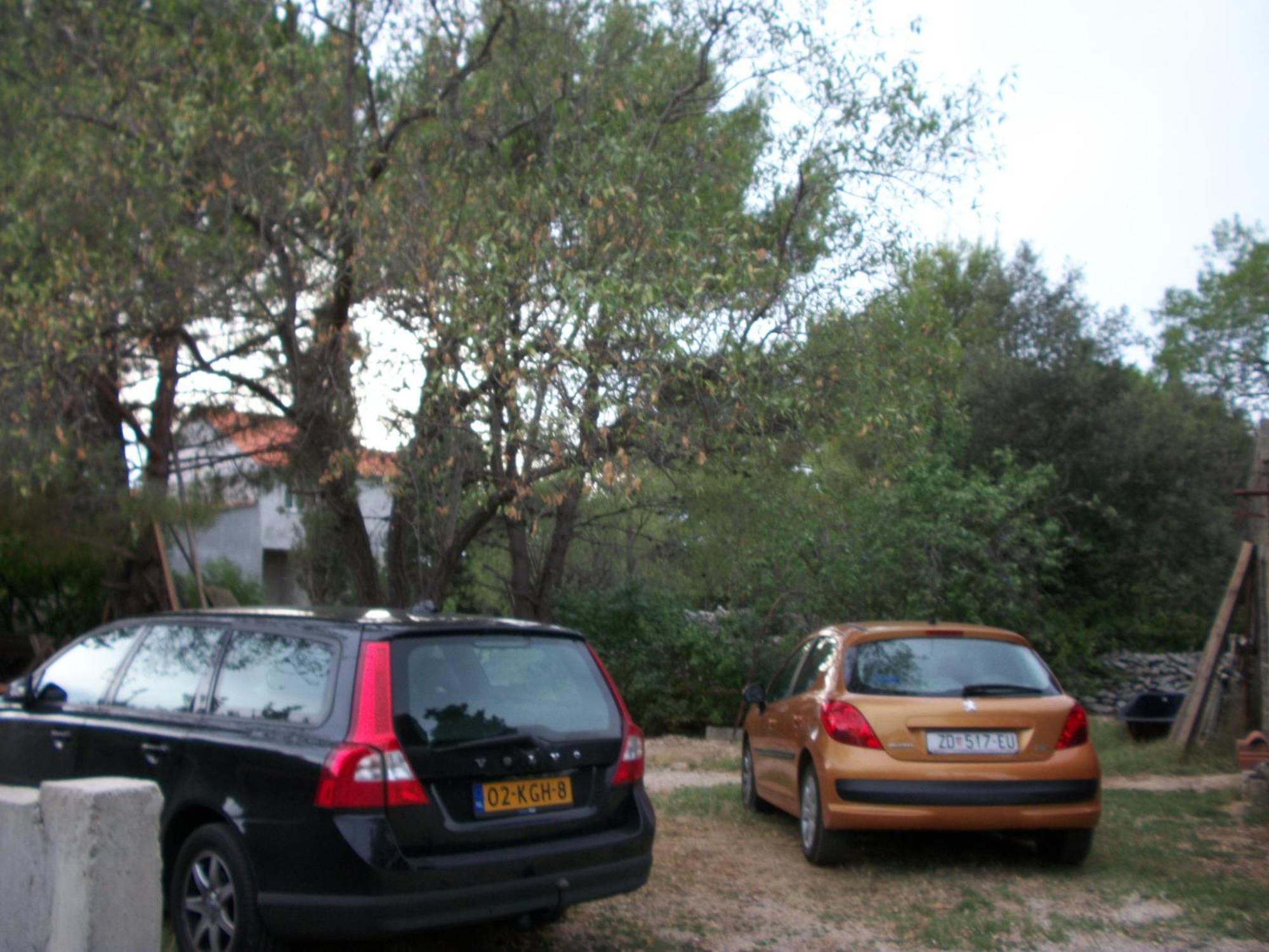 Apartments Mirjana Petrcane Buitenkant foto